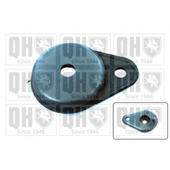 Support/suspension,plot de berceau/Support d'agrégats QUINTON HAZELL EM1445