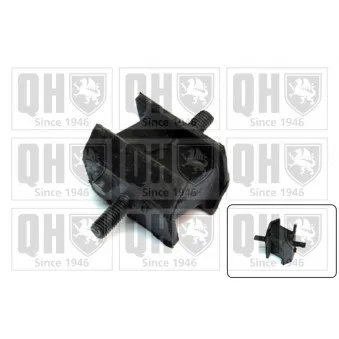 Suspension, boîte automatique QUINTON HAZELL OEM 24701138428