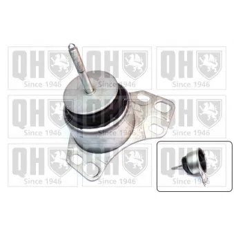 Suspension, boîte automatique QUINTON HAZELL OEM 46403319