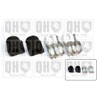 Kit de réparation, suspension du stabilisateur QUINTON HAZELL OEM 96089104