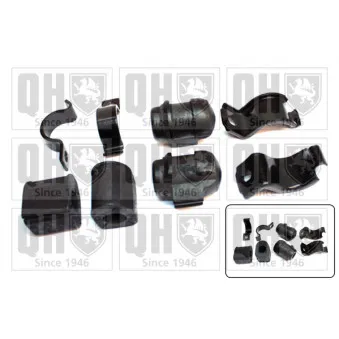 Kit de réparation, suspension du stabilisateur QUINTON HAZELL OEM 7700314855