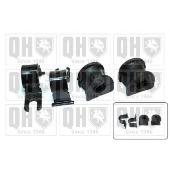 Kit de réparation, suspension du stabilisateur QUINTON HAZELL OEM 8200024373