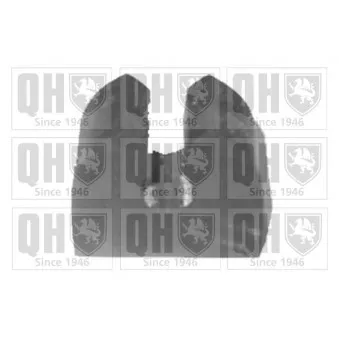 Silent bloc de suspension (train avant) QUINTON HAZELL OEM 5063391