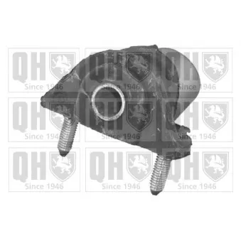 Silent bloc de suspension (train avant) QUINTON HAZELL OEM 352353