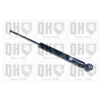 Jeu de 2 amortisseurs arrière QUINTON HAZELL OEM 553101C500