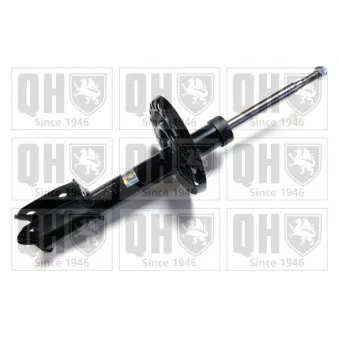 Jeu de 2 amortisseurs avant QUINTON HAZELL OEM 543024260R