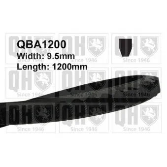 Courroie trapézoïdale QUINTON HAZELL OEM 78EF8620CA