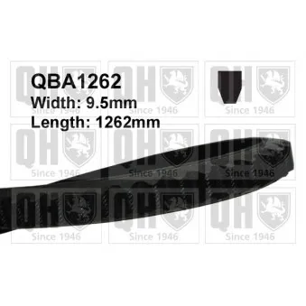QUINTON HAZELL QBA1262 - Courroie trapézoïdale
