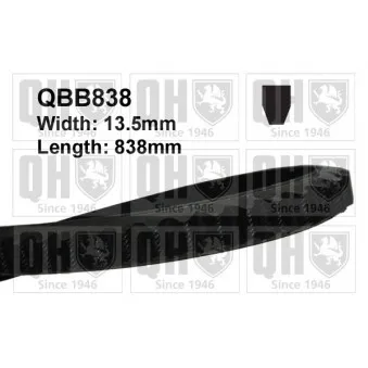Courroie trapézoïdale QUINTON HAZELL OEM 38920657810