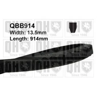 Courroie trapézoïdale QUINTON HAZELL OEM V86BB8A615AA