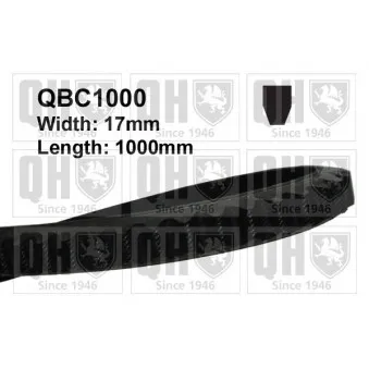 QUINTON HAZELL QBC1000 - Courroie trapézoïdale