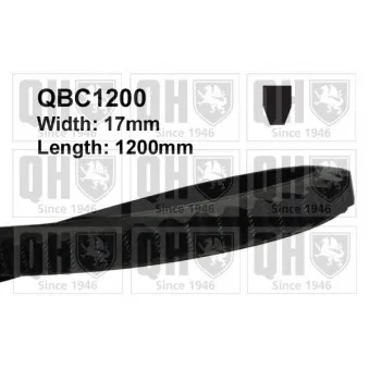 QUINTON HAZELL QBC1200 - Courroie trapézoïdale
