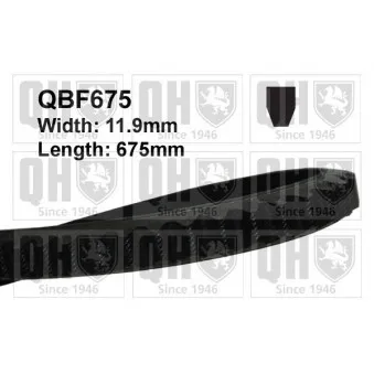 QUINTON HAZELL QBF675 - Courroie trapézoïdale