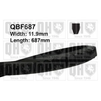 Courroie trapézoïdale QUINTON HAZELL QBF687 pour FORD FIESTA 1.6 Turbo - 131cv