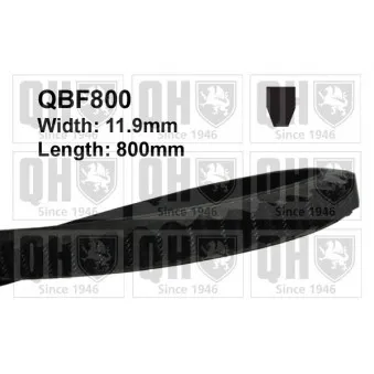 Courroie trapézoïdale QUINTON HAZELL QBF800 pour FORD FIESTA 1.0 - 45cv