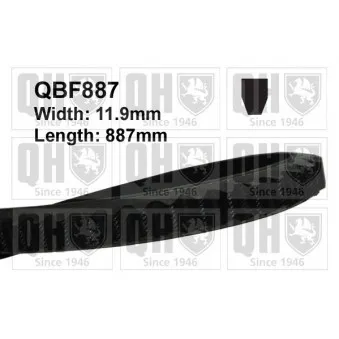 QUINTON HAZELL QBF887 - Courroie trapézoïdale