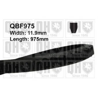 Courroie trapézoïdale QUINTON HAZELL QBF975