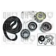 QUINTON HAZELL QBK591 - Kit de distribution