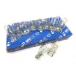 QUINTON HAZELL QBL582 - Ampoule