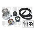 Pompe à eau + kit de courroie de distribution QUINTON HAZELL [QBPK6351]