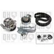 Pompe à eau + kit de courroie de distribution QUINTON HAZELL [QBPK6420]