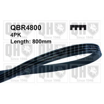Courroie trapézoïdale à nervures QUINTON HAZELL QBR4800