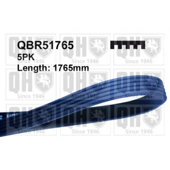 Courroie trapézoïdale à nervures QUINTON HAZELL QBR51765 pour MERCEDES-BENZ CLASSE A A 160 CDI - 82cv