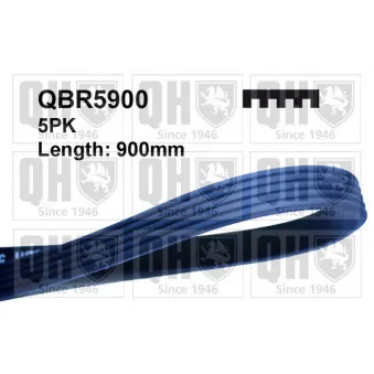 Courroie trapézoïdale à nervures QUINTON HAZELL QBR5900