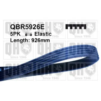 Courroie trapézoïdale à nervures QUINTON HAZELL OEM 73501904