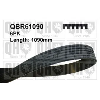 Courroie trapézoïdale à nervures QUINTON HAZELL QBR61090 pour VOLKSWAGEN GOLF 1.4 FSI - 90cv