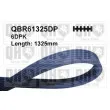 QUINTON HAZELL QBR61325DP - Courroie trapézoïdale à nervures