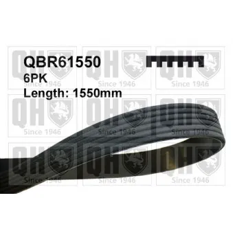 Courroie trapézoïdale à nervures QUINTON HAZELL OEM 99919236550