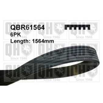 Courroie trapézoïdale à nervures QUINTON HAZELL QBR61564 pour PEUGEOT 206 1.4 16V - 88cv