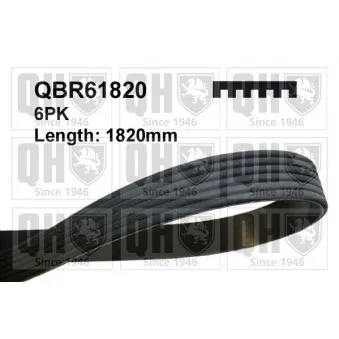 Courroie trapézoïdale à nervures QUINTON HAZELL QBR61820 pour RENAULT LAGUNA 1.6 16V - 110cv