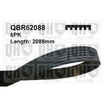 Courroie trapézoïdale à nervures QUINTON HAZELL OEM 11287787535