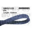 QUINTON HAZELL QBR81225 - Courroie trapézoïdale à nervures