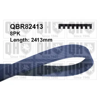 Courroie trapézoïdale à nervures QUINTON HAZELL QBR82413 pour TOYOTA LAND CRUISER 4.6 V8 - 318cv
