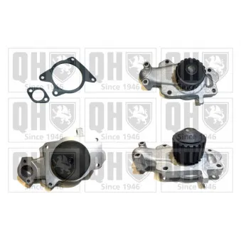 Pompe à eau QUINTON HAZELL OEM 5020121
