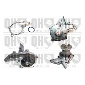 Pompe à eau QUINTON HAZELL OEM 1611019175