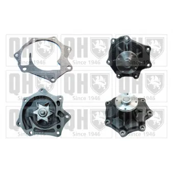 QUINTON HAZELL QCP3342 - Pompe à eau