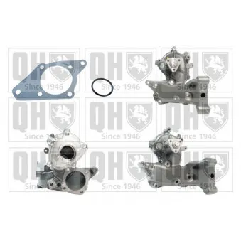 Pompe à eau QUINTON HAZELL QCP3377 pour FORD TRANSIT CONNECT 1.9 D Combinato - 69cv