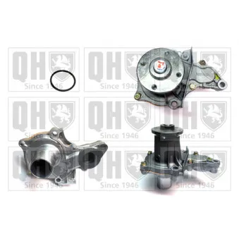 Pompe à eau QUINTON HAZELL OEM 1610019295