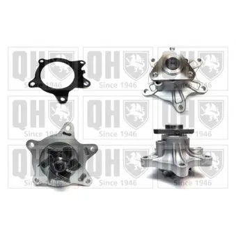 Pompe à eau QUINTON HAZELL OEM 1610029195