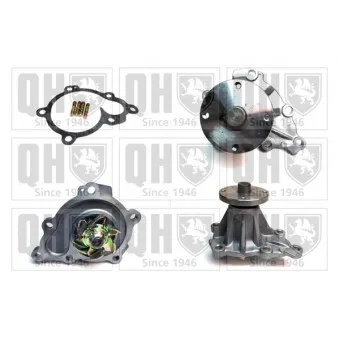 Pompe à eau QUINTON HAZELL OEM 8AL115010B