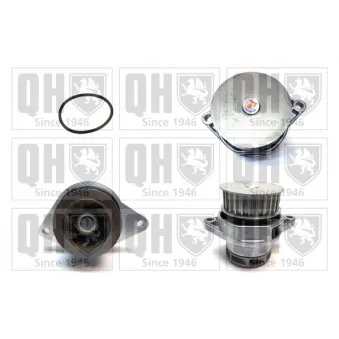 Pompe à eau QUINTON HAZELL OEM 036121005J