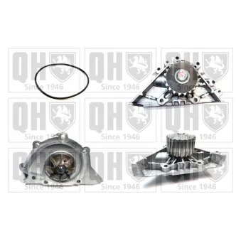 Pompe à eau QUINTON HAZELL OEM 9640601280
