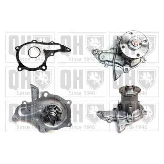 Pompe à eau QUINTON HAZELL OEM 1611009031