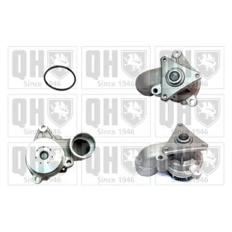 Pompe à eau QUINTON HAZELL OEM 251002A001