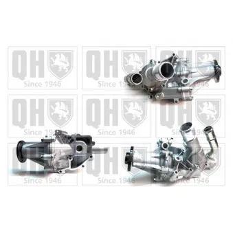 Pompe à eau QUINTON HAZELL OEM 6652000501