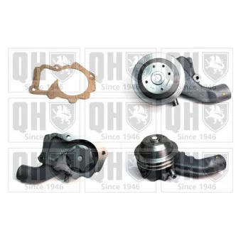 Pompe à eau QUINTON HAZELL OEM 2705259
